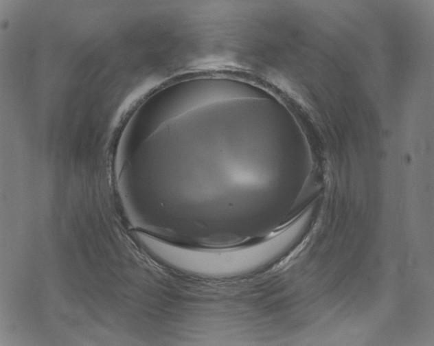 X0000075901358200609151401