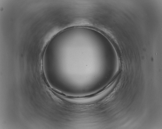 X0000075901366200609151401