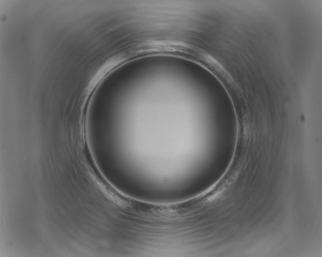 X0000075901370200609151400