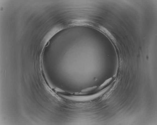 X0000075901386200609151400