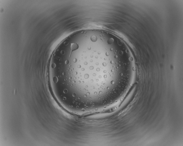 X0000075901387200609151400