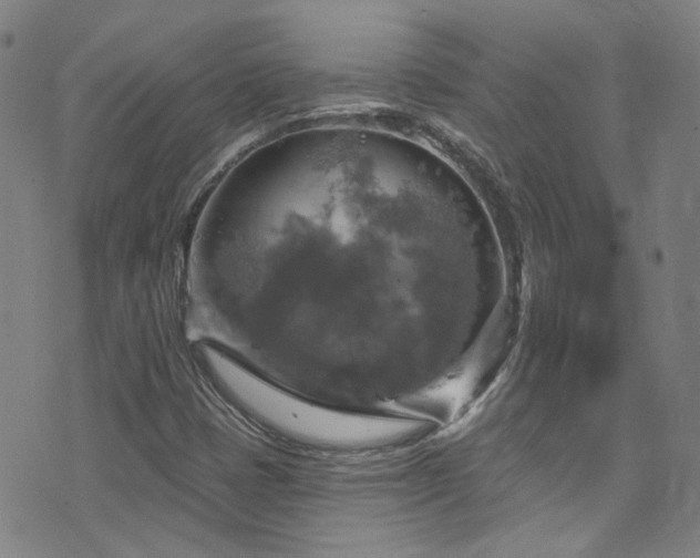 X0000075901401200609151359