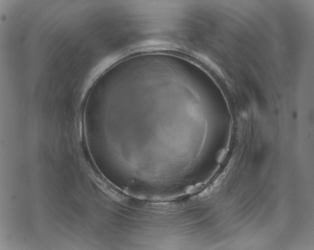 X0000075901413200609151400