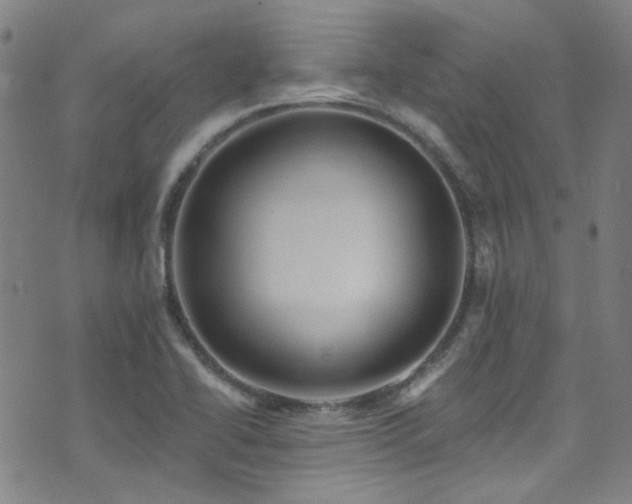 X0000075901414200609151400