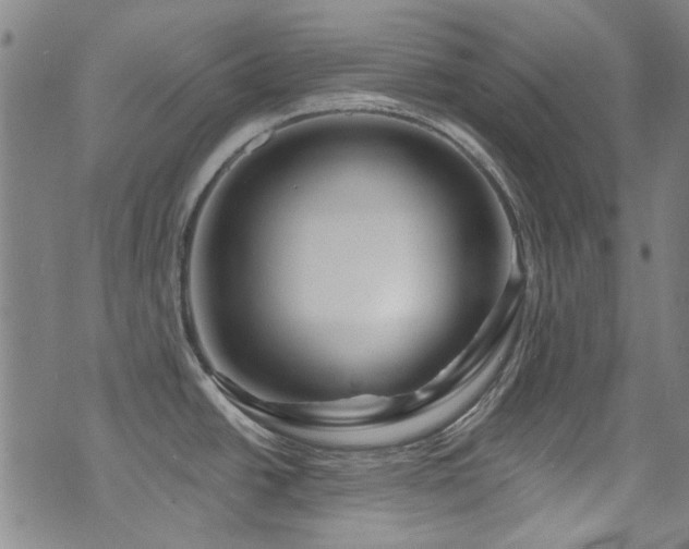 X0000075901438200609151400