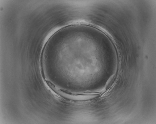 X0000075901440200609151400