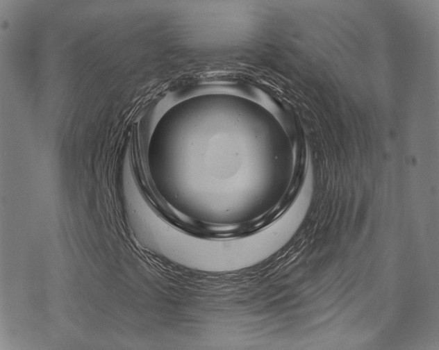 X0000075901441200609151359