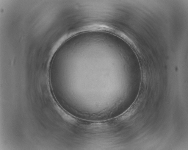 X0000075901478200609151359