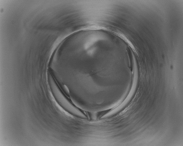 X0000075901484200609151359