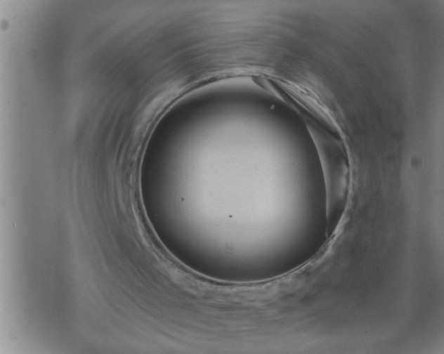 X0000075900001200609221948