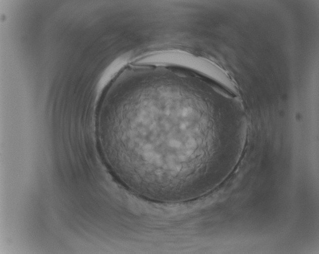 X0000075900006200609221948