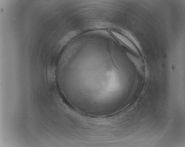 X0000075900010200609221948