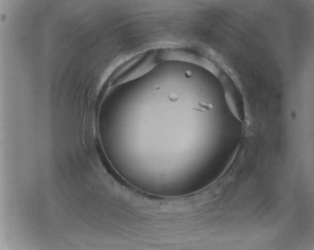 X0000075900011200609221948