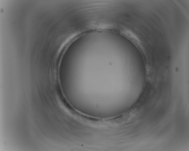 X0000075900012200609221948