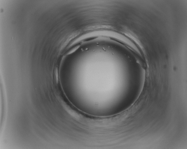 X0000075900013200609221948