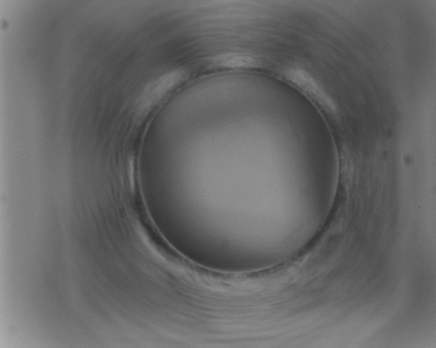 X0000075900014200609221948