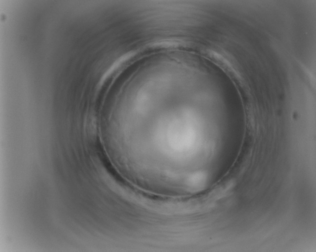 X0000075900016200609221948