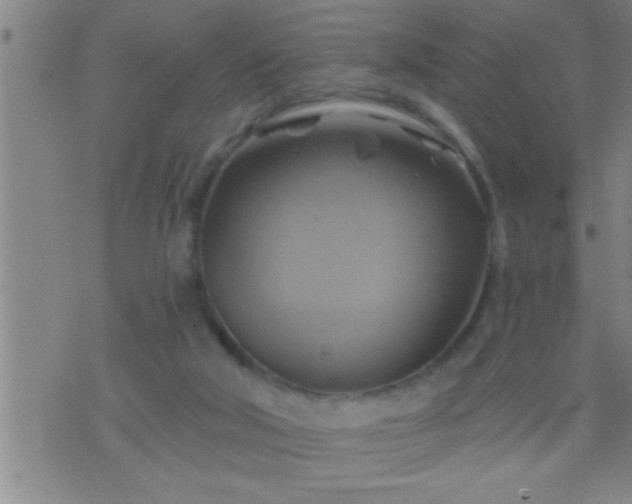 X0000075900018200609221948