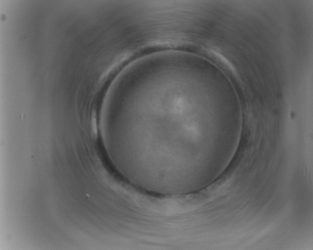 X0000075900020200609221948