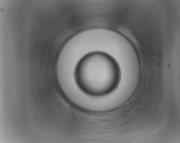 X0000075900021200609221948