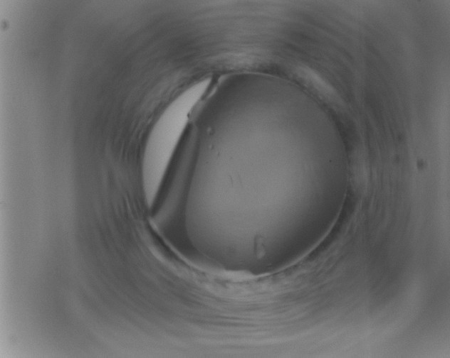 X0000075900022200609221948