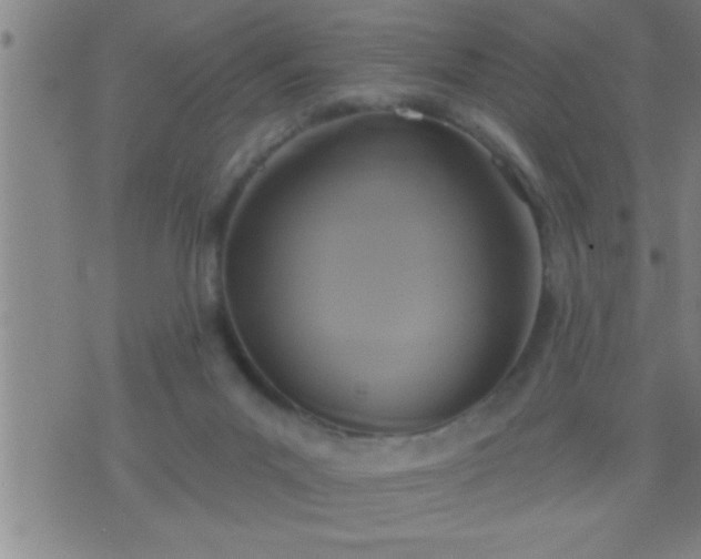 X0000075900023200609221948