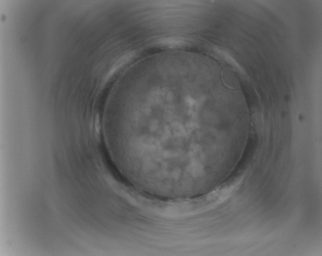 X0000075900024200609221948