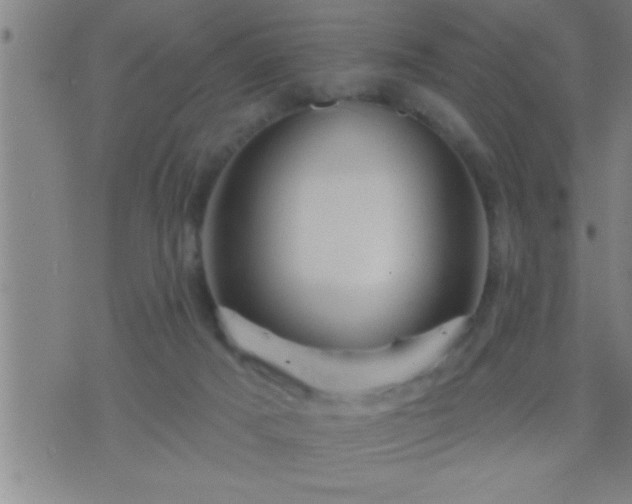 X0000075900025200609221948