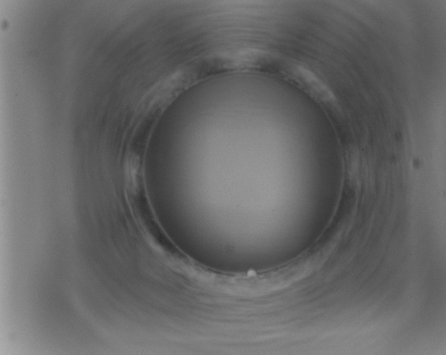 X0000075900026200609221948