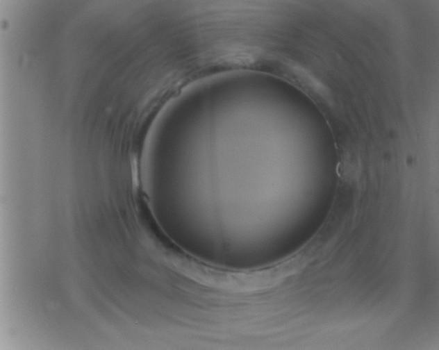 X0000075900027200609221948