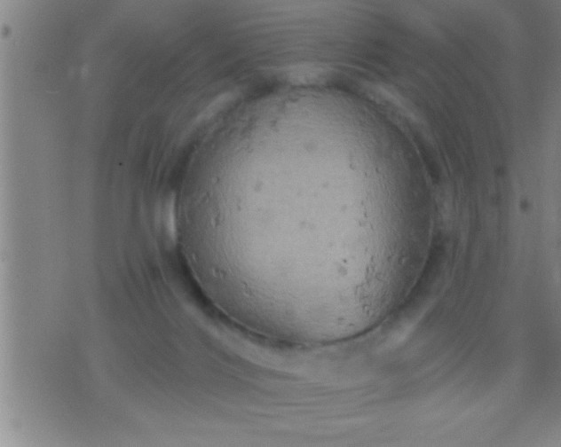 X0000075900028200609221948