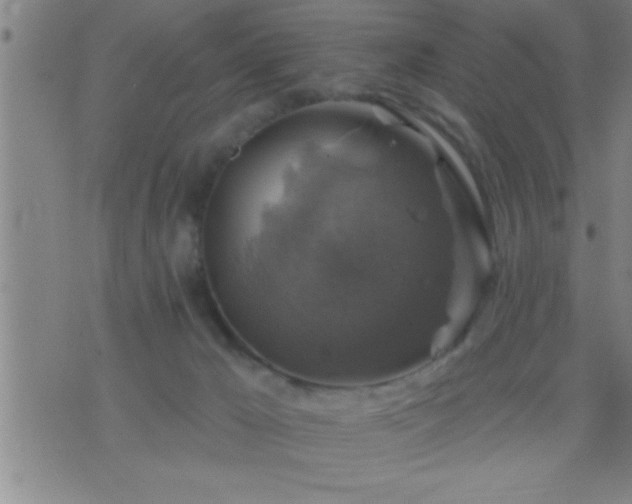 X0000075900029200609221948