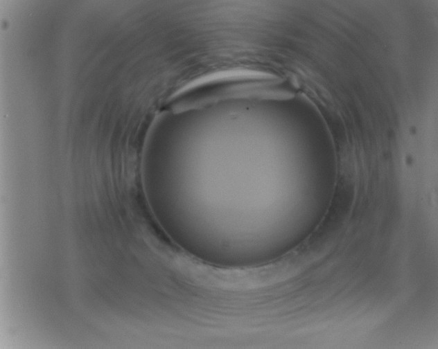 X0000075900030200609221948