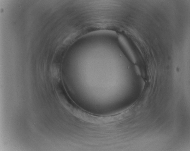 X0000075900031200609221948