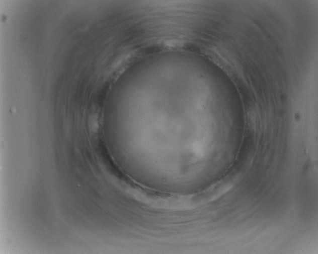 X0000075900032200609221948