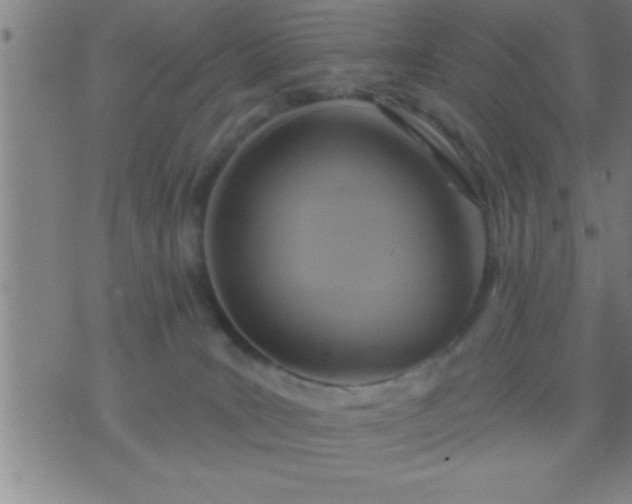 X0000075900035200609221948