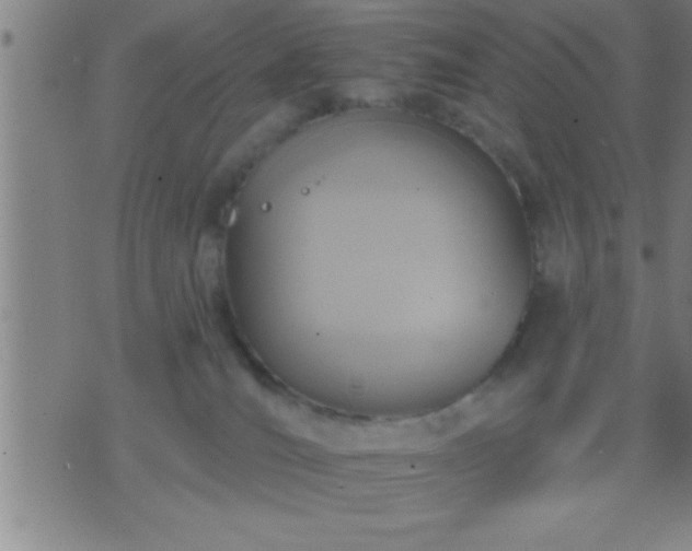 X0000075900036200609221948