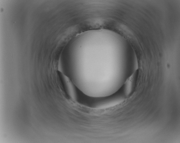 X0000075900037200609221948