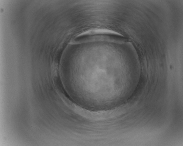 X0000075900038200609221948