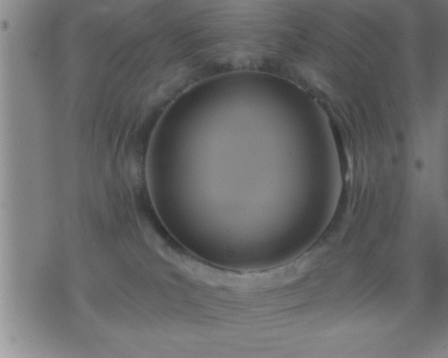 X0000075900039200609221948