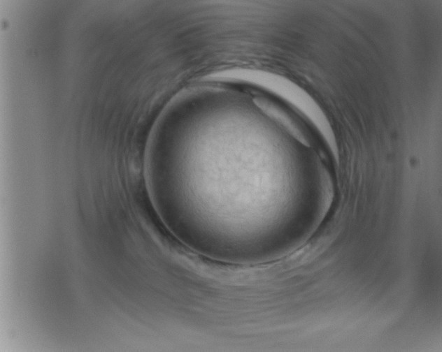 X0000075900040200609221948