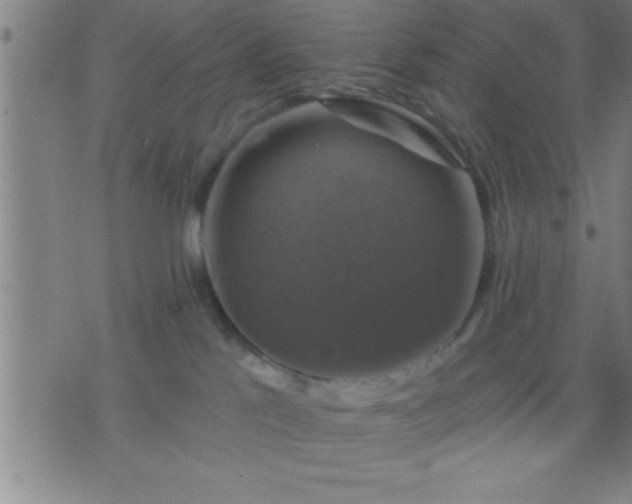 X0000075900041200609221948