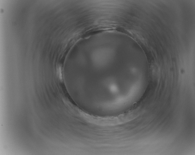 X0000075900042200609221948