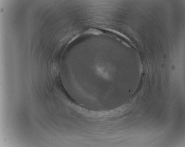 X0000075900043200609221948