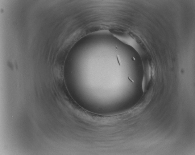 X0000075900044200609221948