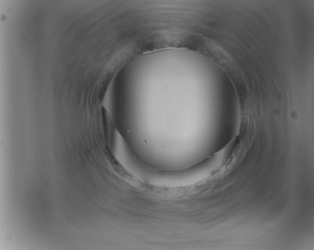 X0000075900045200609221948