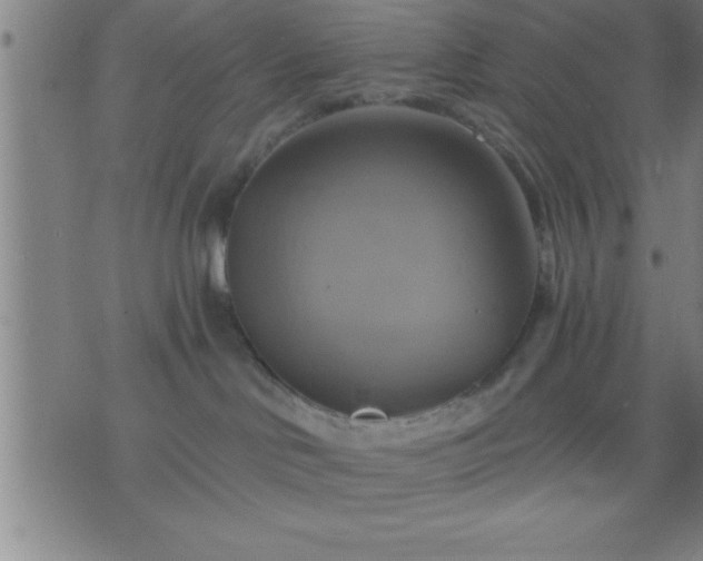 X0000075900046200609221947