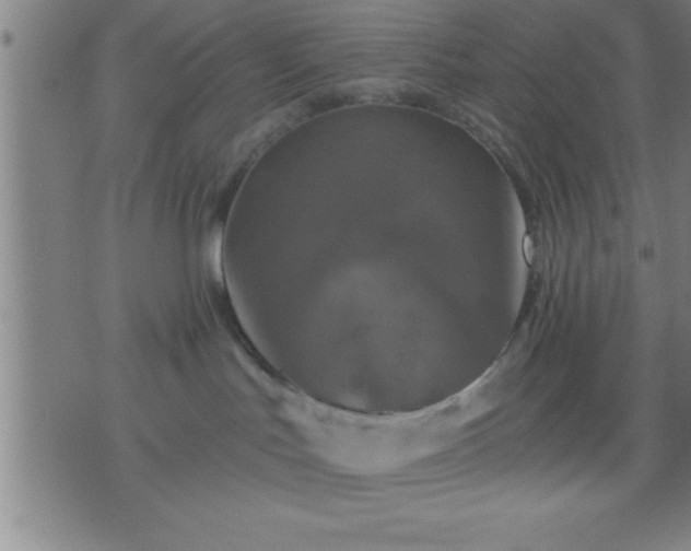 X0000075900047200609221947