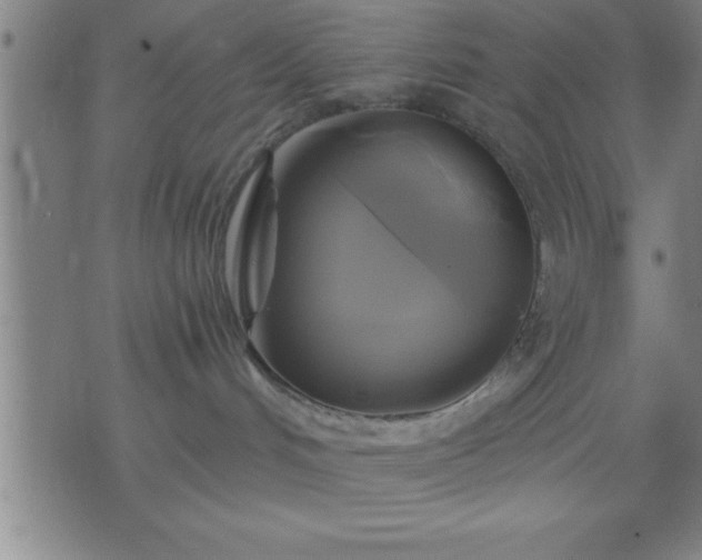 X0000075900048200609221947