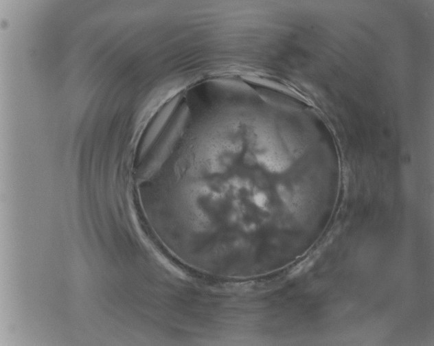 X0000075900049200609221947